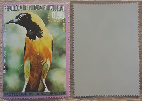 Экваториальная Гвинея 1976 Североамериканские птицы.Маятник с капюшоном