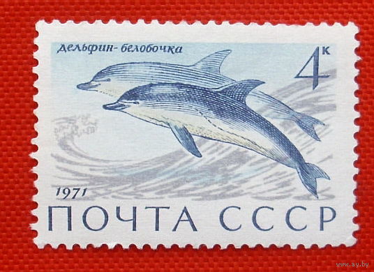 СССР. Млекопитающие - обитатели морей и океанов. ( 1 марка ) 1971 года.