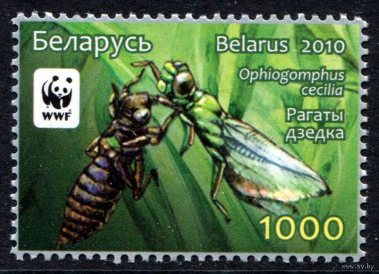Беларусь 2010 #842. Рагаты дзедка (1000 руб)