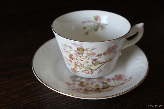 Чашка чайная тарелка старая Швеция