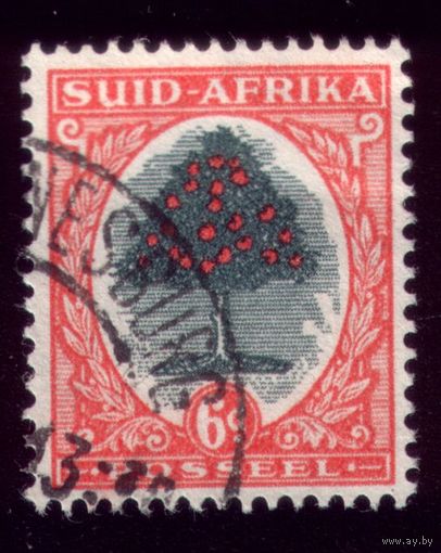 1 марка 1926 год ЮАР Яблоня 28