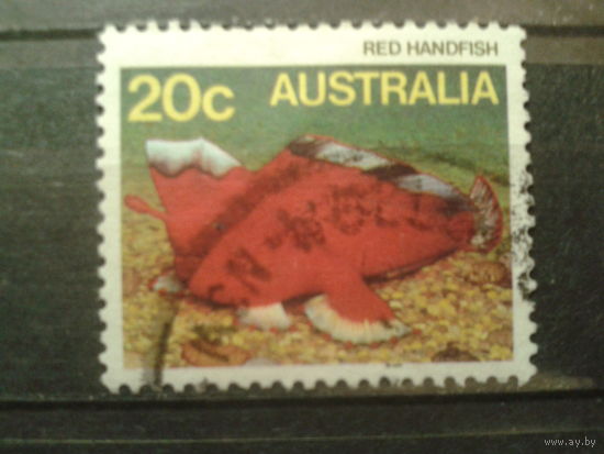 Австралия 1985 морская фауна
