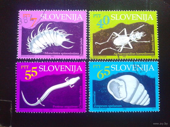 Словения 1993 подземная фауна полная серия