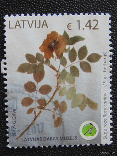 Латвия 2017 г. Цветы.