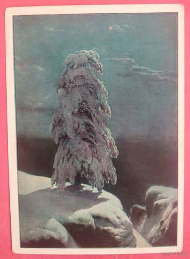 Шишкин И. "На севере диком..." 1963 г. Чистая.
