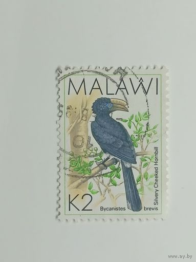 Малави 1988. Птицы