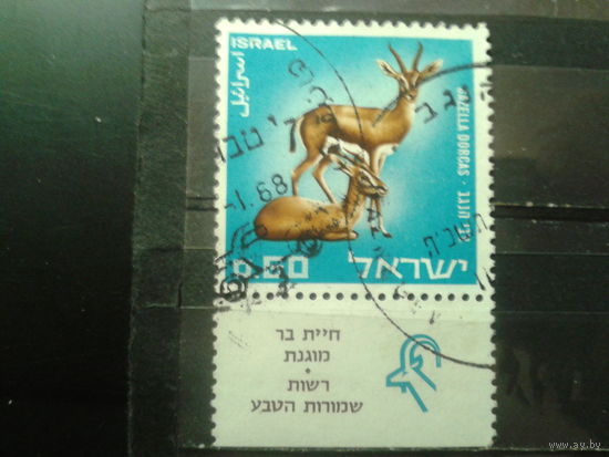 Израиль 1967 Козлы с купоном, концевая