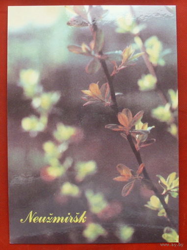 Цветы. Литва. Чистая. 1991 года. 1218.
