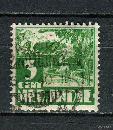 Нидерландская Индия - 1934 - Буйвол вспахивает рисовое поле 3C - [Mi.208] - 1 марка. Гашеная.  (Лот 82ED)-T2P8