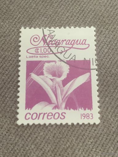Никарагуа 1983. Флора. Laella spec.