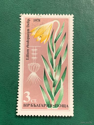 Болгария 1978. Флора. Лилия