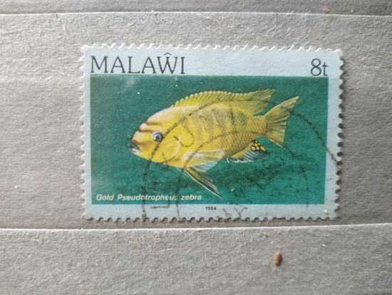 Малави.1984г. Фауна.