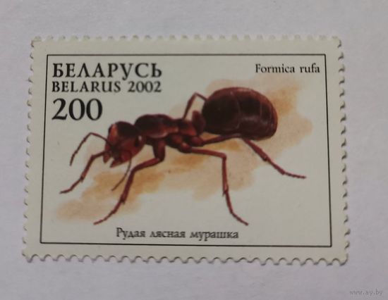 Беларусь 2002 муравей