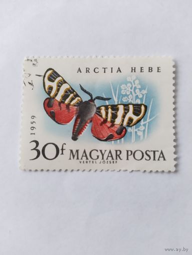 Венгрия  1959 бабочка