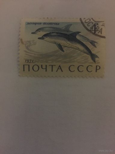 СССР 1971 г.Дельфин -белобочка.