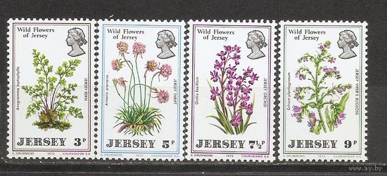 Джерси 1972 Цветы