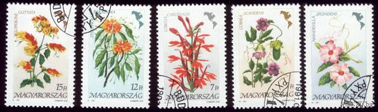 5 марок 1991 год Венгрия Цветы Америки 4125-4129