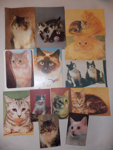 Открытки СССР, календарики  с котами, котятами. наличие уточняйте