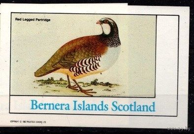 Шотландия остров Бернера  птицы - 1978 год  MNH
