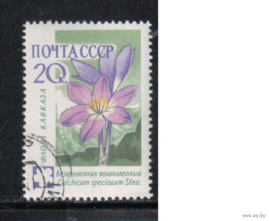 СССР-1960, (Заг.2410), гаш.(с клеем) , Флора, Цветы
