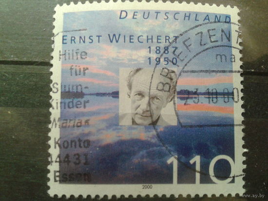 Германия 2000 писатель Михель-1,1 евро гаш