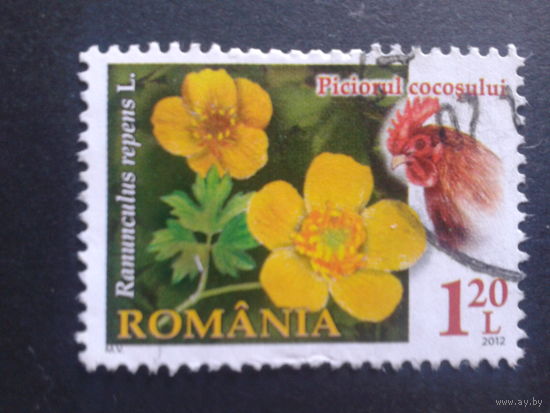 Румыния 2012 цветы, петух