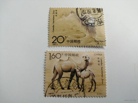 Китай 1993. Двугорбый верблюд. Полная серия