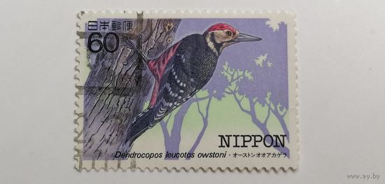 Япония 1984. Вымирающие птицы.