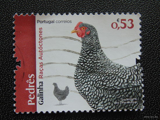 Португалия 2019 г. Курица.
