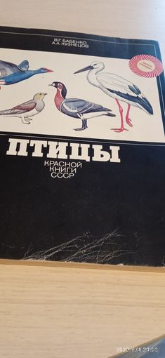 Птицы красной книги СССР.