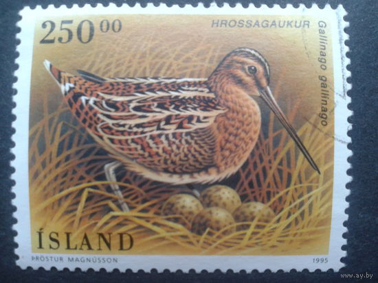 Исландия 1995 птица