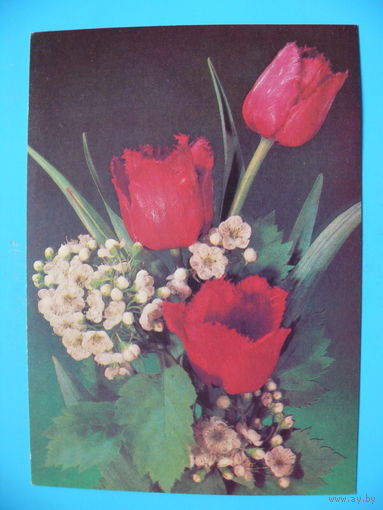 Дергилев И.(фото), Цветы, 1989, чистая.