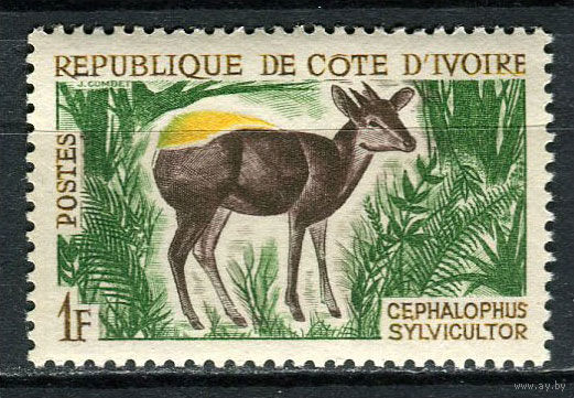 Кот-д 'Ивуар - 1964 - Фауна. Желтоспинный дукер 1F - [Mi.259] - 1 марка. MNH.  (Лот 91EM)-T7P10