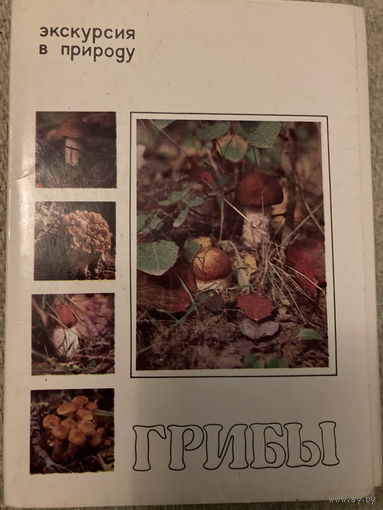 Набор открыток Грибы (25 шт) 1980г. с описанием и блюдами
