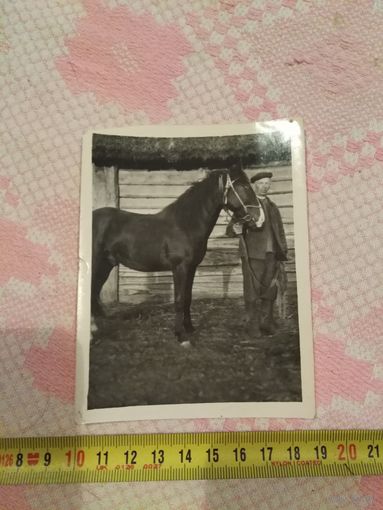 Фото мужчина с конем