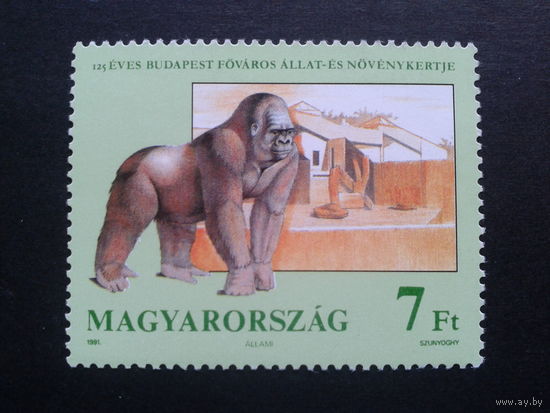 Венгрия 1991 горилла