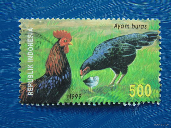 Индонезия  1999г. Птицы