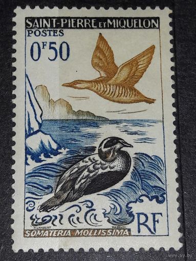 Сен-Пьер и Микелон 1963 Фауна Птицы чистая марка