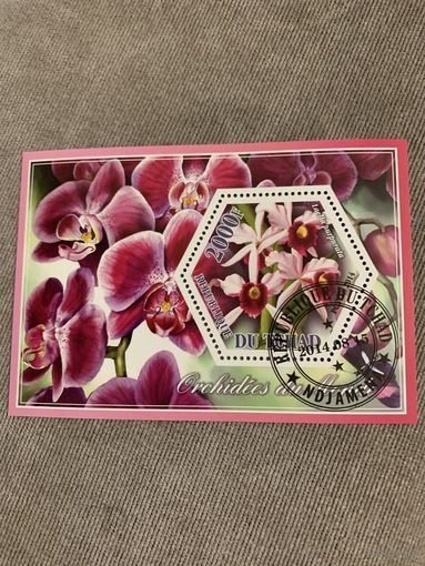 Чад 2014. Цветы. Орхидеи. Блок