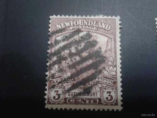 Ньюфаунленд колония Англии 1919 олень карибу
