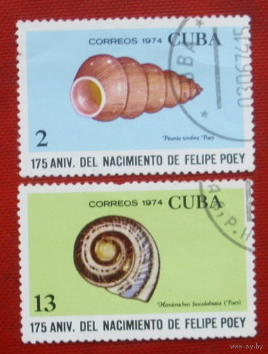 Куба. Раковины. ( 2 марки ) 1974 года. 4-8.