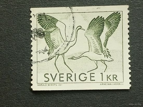 Швеция 1968. Танец журавлей