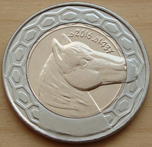 Алжир. 100 динар 2016 год  KM#132  "Лошадь Барбара"