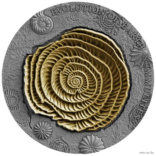 Ниуэ 2 доллара 2017г. "Эволюция Земли: Нуммилит". Монета в капсуле; деревянном подарочном футляре; сертификат; коробка. СЕРЕБРО 62,27гр.(2 oz).