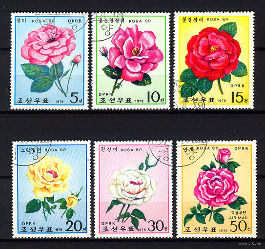 1979 КНДР. Розы