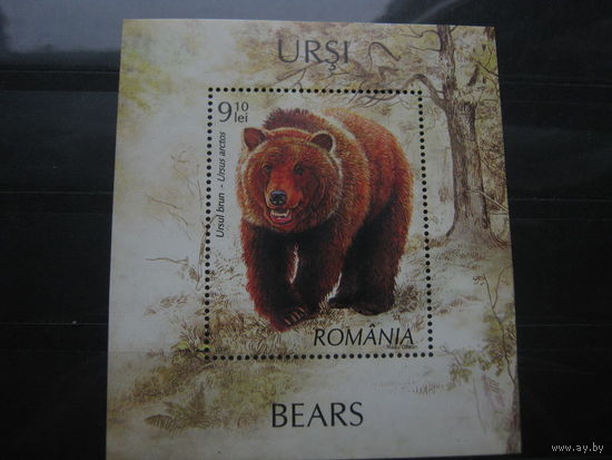 Марки - Румыния 2008 фауна медведь блок