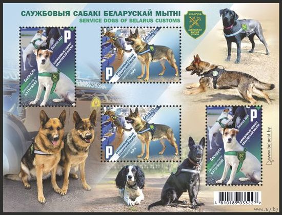 Служебные собаки белорусской таможни ФАУНА Беларусь 2021 лист**