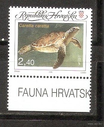 КГ Хорватия 1995 Черепаха