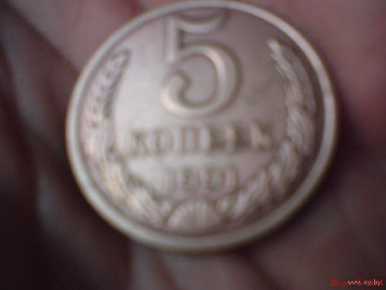 Монета 5 копеек 1991 г  светлая с буквой М
