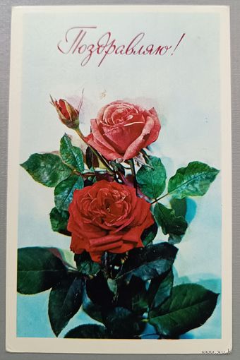 Поздравляю! Розы. Фото И.Дергилева. Открытка СССР, 1976, подписана